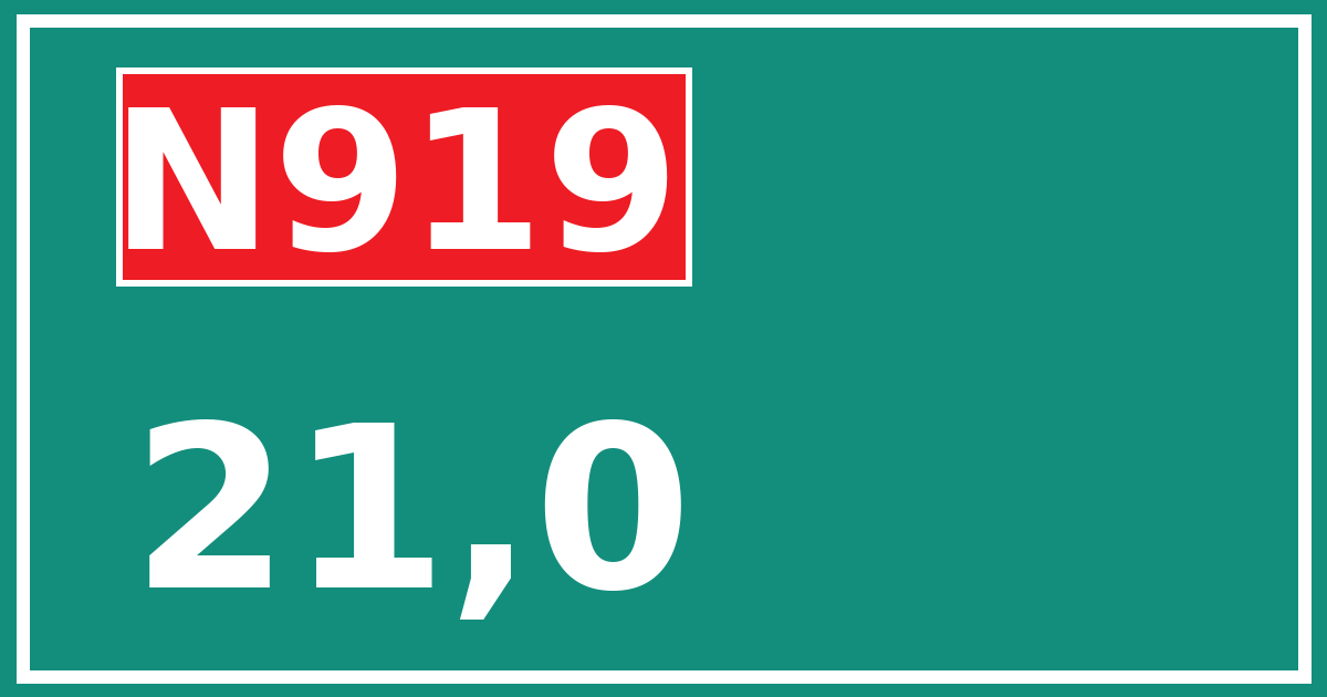 Hectometerbord N919 21,0