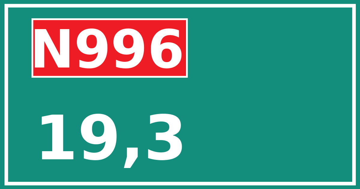 Hectometerbord N996 19,3