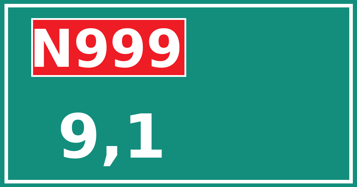 Hectometerbord N999 9,1